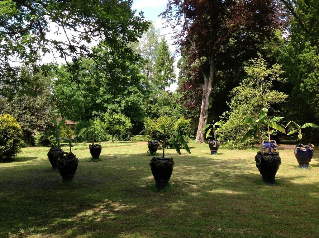 Cirey-sur-Vezouze Maisonmazerand المظهر الخارجي الصورة