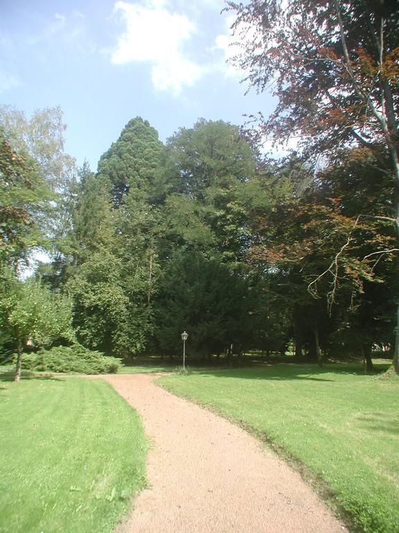 Cirey-sur-Vezouze Maisonmazerand المظهر الخارجي الصورة